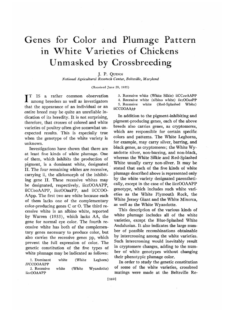 White Chicken Genotypes Explained | PDF | Dominance (Genetics) | Chicken