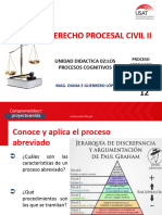 SESION 12 Proceso Abreviado -Proceso, Terceria (2)