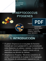 Streptococcus Pyogenes