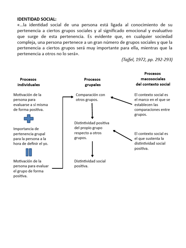 Importancia de la Identidad Social en la Política | PDF | Grupo social ...