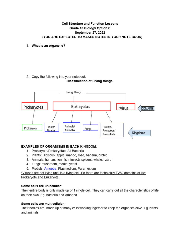 Understanding Cell Structure and Function | PDF | Cell (Biology ...