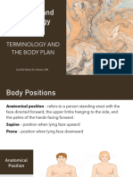 Terminology and Body Plan