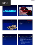 O Processo epidêmicopb