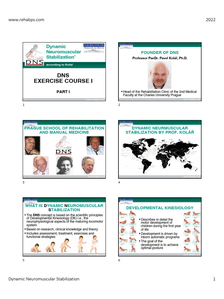 Exercise I Part 1 | PDF | Abdomen | Respiratory System