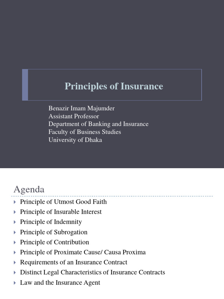 Key Principles of Insurance Explained | PDF | Insurance | Indemnity