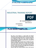 Flow More Pumps LTD: Industrial Training Report