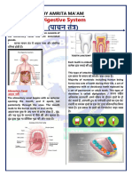 Digestion of Food PDF
