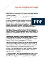 Semente de Linhaça Traz vários Benefícios à Saúde - Gilberto Coutinho