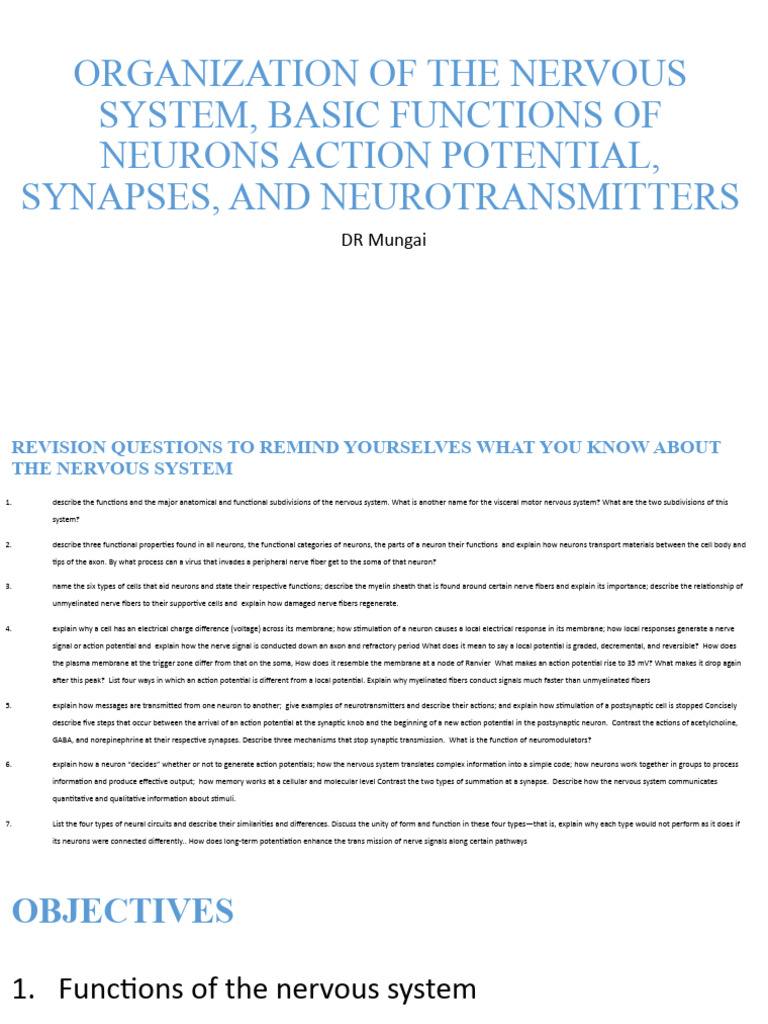 Organization of The Nervous System and Basic Functions-1 | PDF | Neuron ...