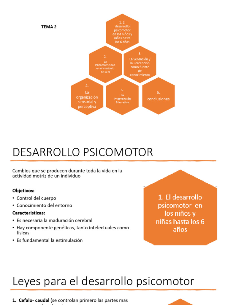 Tema 2 Esquema | PDF | Percepción | Aprendizaje