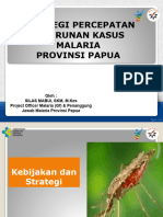 Strategi Percepatan Papua