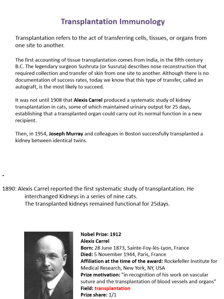 Transplantation Immunological Aspects | PDF | Transplant Rejection | T Cell