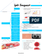 UNIDAD 9 - Tejido Sanguíneo