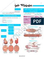 UNIDAD 10 - Tejido Muscular
