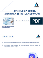 Aula 4 - Neurofisiologia Do SNC (Anatomia J Estrutura e Função