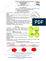 Actividad Circulo y Circunferencia