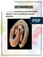 Rotafolio Esquistosomiasis