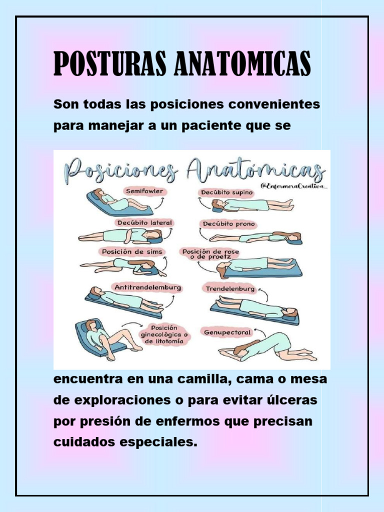 Posiciones Anatómicas en Pacientes | PDF | Términos anatómicos de ...