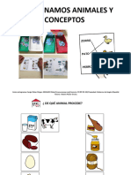 Material TEACCH Clasificación de Los Animales y Relacion de Conceptos 2