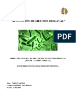 Tarea Metodo BIOGAVAL - Ismael Guerisoli