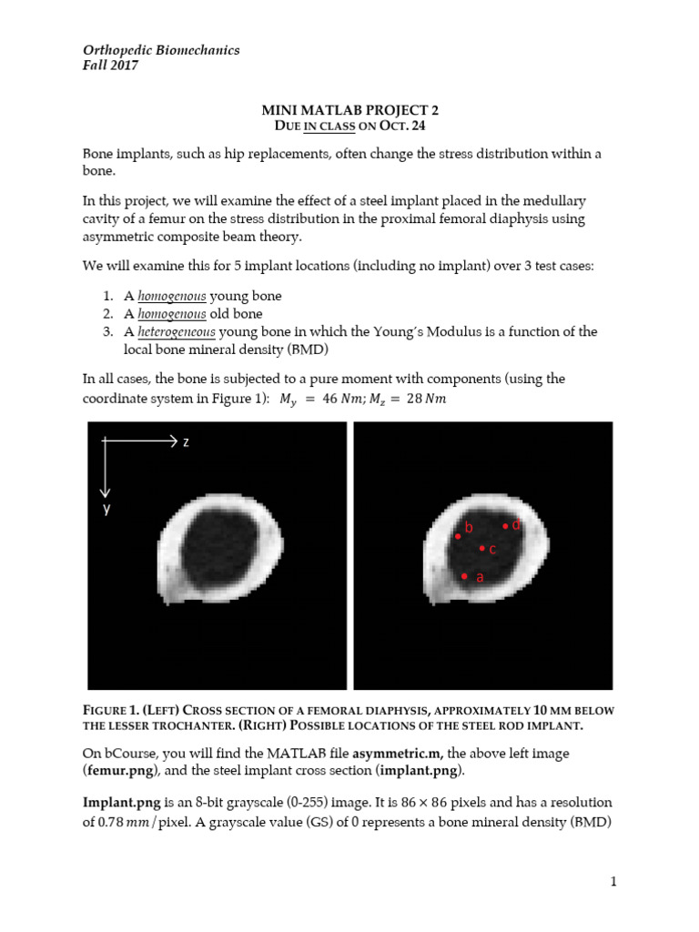 Mini Matlab Project 2 | PDF | Stress (Mechanics) | Bone image.