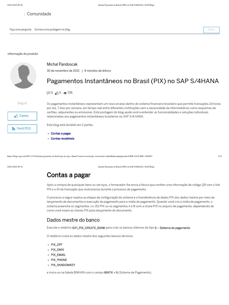 Pagamentos PIX no SAP S/4HANA | PDF | Negócios | Finanças e ...