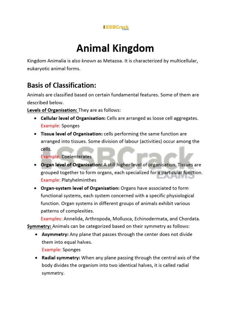 Classification of Animal Kingdom | PDF | Vertebrates | Sponge