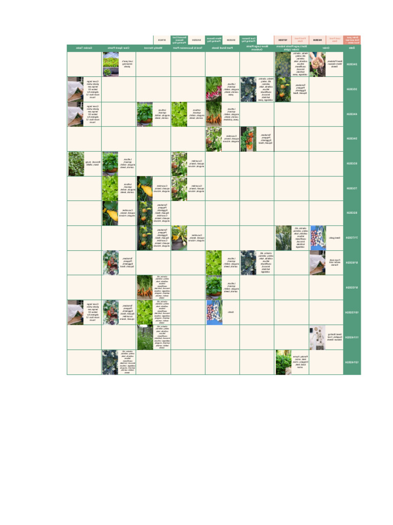 Vegetable Planting Calendar 2024 | PDF