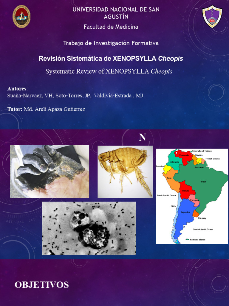 Revisión sobre Xenopsylla cheopis y su impacto | PDF | Peste ...