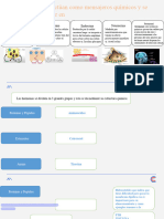 Repasso Endocrino