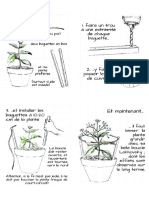 Documento 22