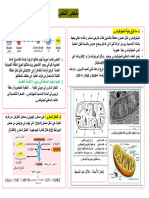 علاق عبد الباسط ملخص التنفس