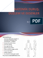 Sezgi Gurcay Anatomik Durus Duzlem Ve Eksenler Hemsirelik FZT 2021.pd