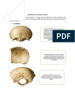 Manual Axial Apendicular Bioantro