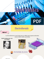 Electroforesis