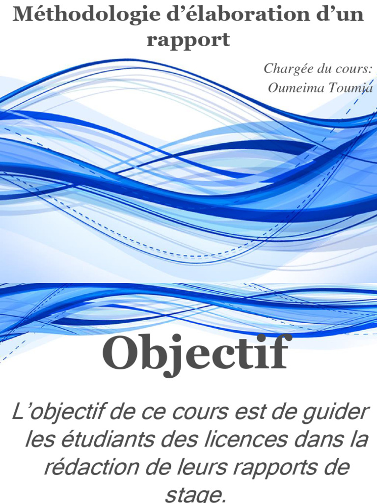 0 Méthodologie Délaboration Dun Rapport 2 | PDF