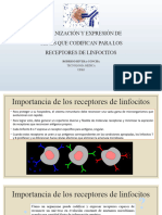 12 Clase - Organización y Expresión de Genes Que Codifican para Los Receptores de Linfocitos