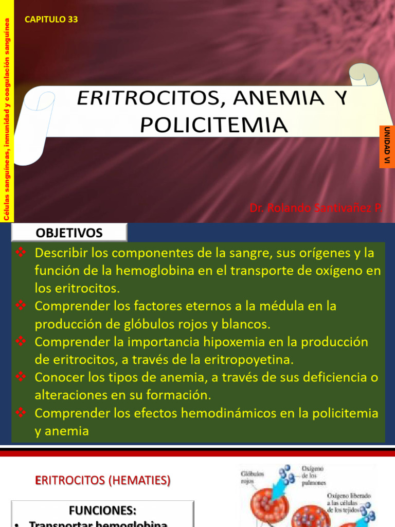 Tipos y causas de la anemia | PDF | Glóbulo rojo | Sangre