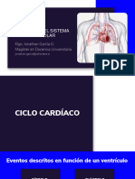 Clase Cardiovascular 2