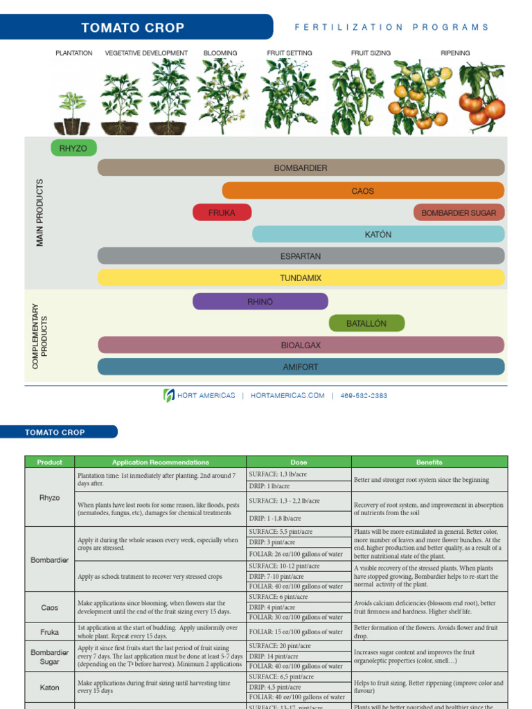 Fertilization Programs for Crops | PDF | Root | Plant Nutrition