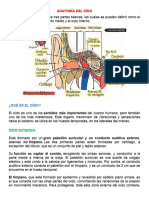 Anatomía Del Oído