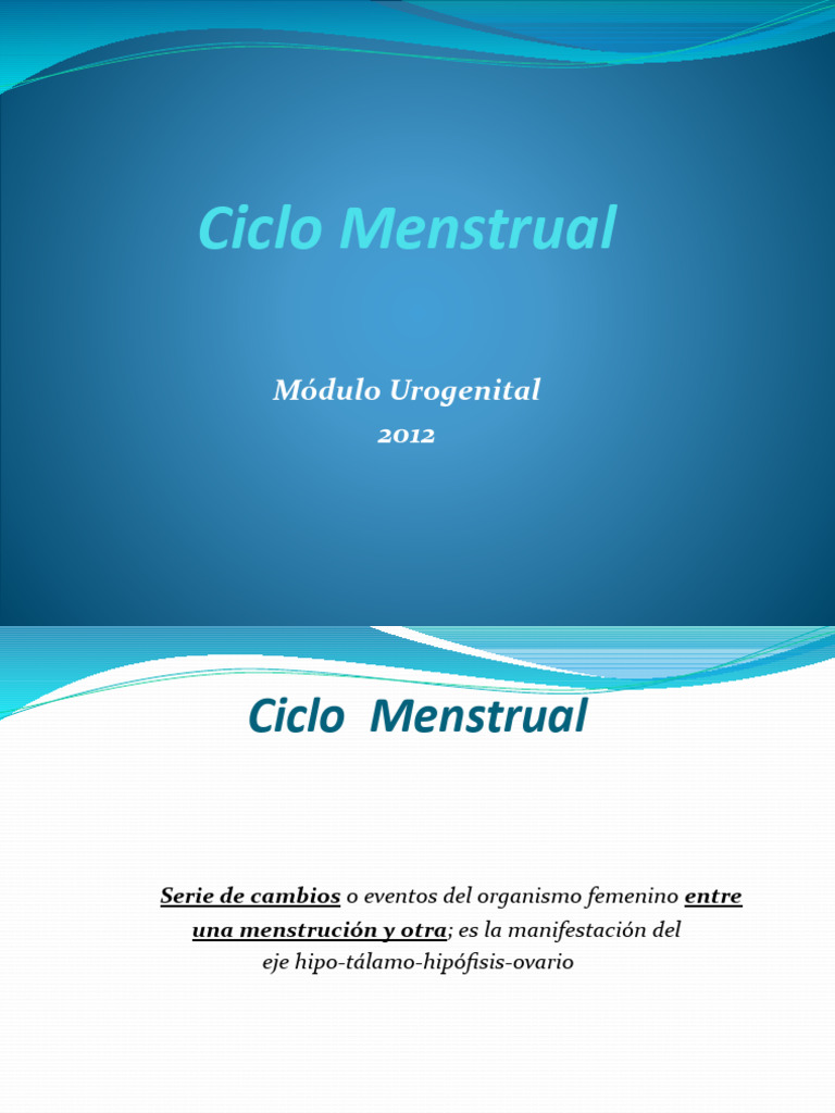 O.b. Classic Mutandine Mestruali Per Le Mestruazioni Abbondanti - Foto 9