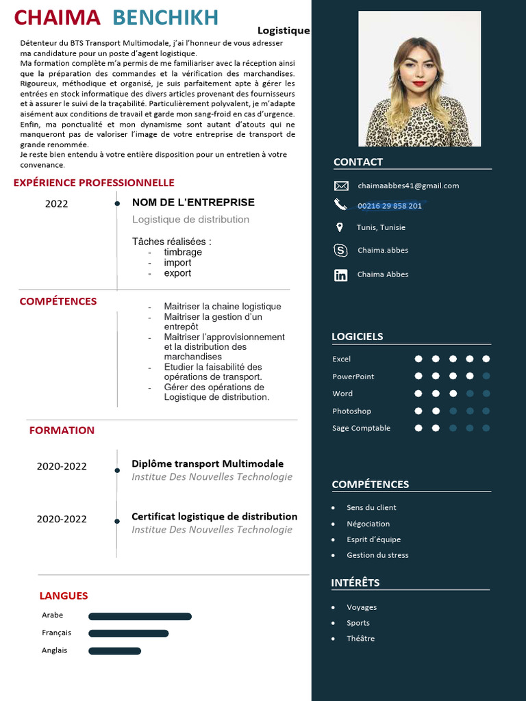 Agent logistique : CV et compétences | PDF | Logistique | Business