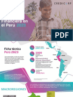 IIF Informe Peru 28nov22