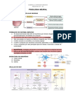 2 - Fisiologia Neural