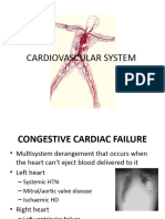 Lecture 10 The Cardiovascular System