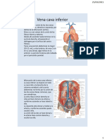 Vena Cava Inferior