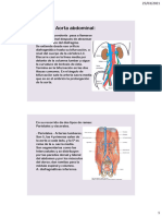 Aórta abdominal e ilíacas