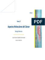 Tema 17. Aspectos Moleculares Del Cancer