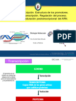 Medicina Tema 11 Transcripcion